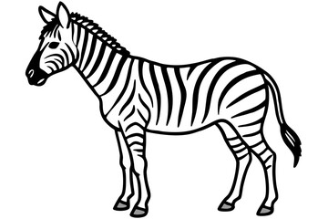 Elegant Zebra Line Art