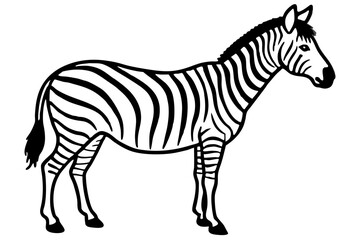 Elegant Zebra Line Art
