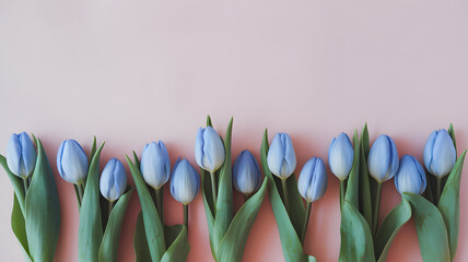 blue tulips on a soft pastel background, perfect for floral, nature, and spring themes.