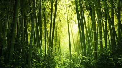 Step into a Tranquil Haven Surrounded by Swaying Bamboo Stalks