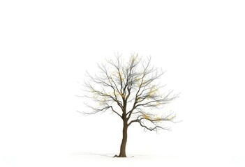 Fototapeta premium Lone deciduous tree, stark branches against pure white, backdrop, winter