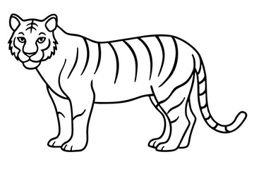 Fierce Tiger Linework