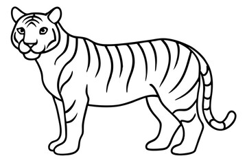 Fierce Tiger Linework