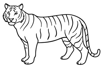 Fierce Tiger Linework