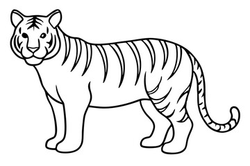 Fierce Tiger Linework