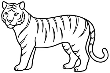 Fierce Tiger Linework