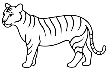 Fierce Tiger Linework