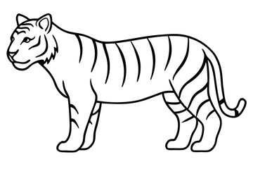 Fierce Tiger Linework