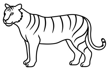 Fierce Tiger Linework