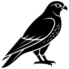 Obraz premium falcon silhouette vector icon white background