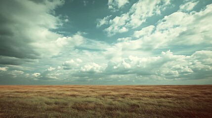 Vast, flat grassland under a dramatic, cloudy sky.