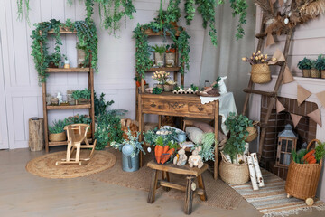 Cozy home garden in boho style. Workshop. Rustic interior design room with wooden table, flowers, green plants and gardening tools. Urban jungle at eco home. Easter spring decor at home. Greenhouse