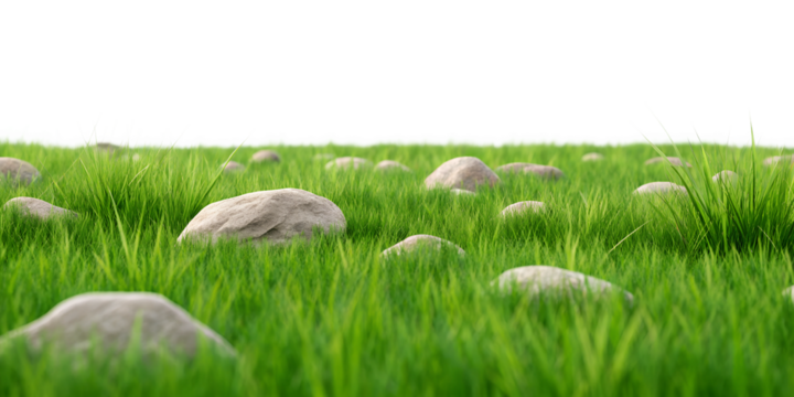Grass Fields Meadow with Rocks on White Background, Lush Green Fields with Natural Rock Formations, PNG Transparent