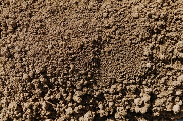 Close-up View of Raw Dirt and Soil Texture for Agricultural Use