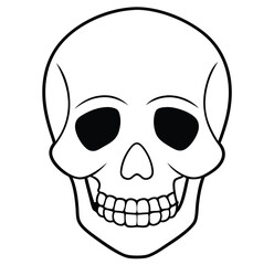 Fototapeta premium Human Skull Isolated on White Background, Anatomy, Death Symbol, and Medical Concept