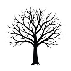 Obraz premium The Art of Tree Silhouettes