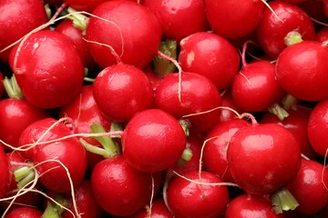 Many fresh radishes as background, above view