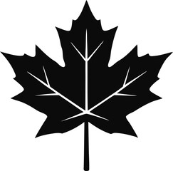 maple leaf vector