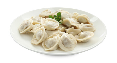 Delicious dumplings with fresh parsley isolated on white