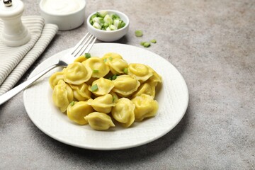 Tasty dumplings with green onion and fork on grey textured table. Space for text