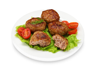 Delicious patties, dill, tomatoes and lettuce isolated on white
