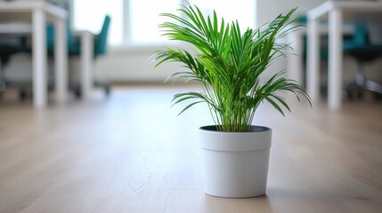 Fototapeta premium Lush Green Potted Plant Enhancing Modern Office Interior Design