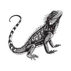 Lizard Vector
