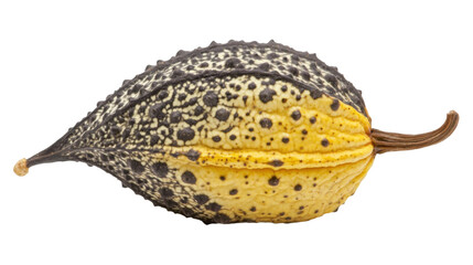 Exploring unique seed pods through close-up nature photography