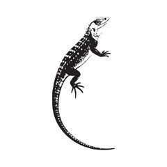 Naklejka premium Lizard Vector