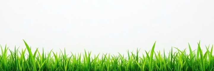 Fototapeta premium White paper with subtle grass texture background , textured paper, brochure, white