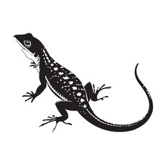Naklejka premium Lizard Vector