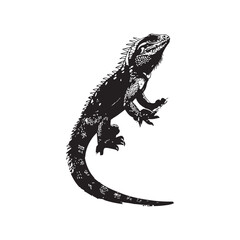 Lizard Vector