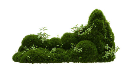 recorte isolado de grama verde musgo