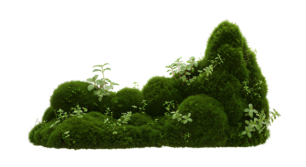 recorte isolado de grama verde musgo