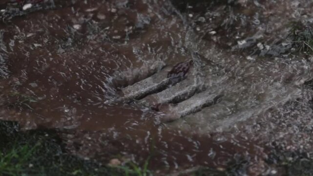 vista dettagliata dell'acqua che scorre rapidamente dentro ad un tombino durante un temporale