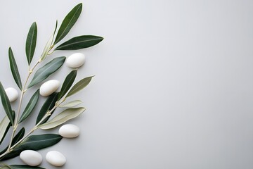Obraz premium Olive branches with smooth white pebbles or marbles on a textured white background with copy space, spa and wellness ,product display.