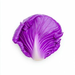 Obraz premium Close Up of a Vibrant Purple Cabbage Leaf on White Background