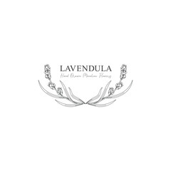 monoline vector illustration lavender flower sketch negative space.