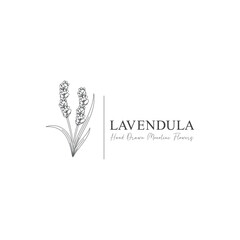monoline vector illustration lavender flower sketch negative space.
