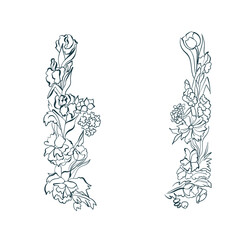 tulips iris garden flower vector design element isolated hand drawn art line