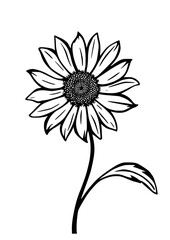 Chamomile stencil