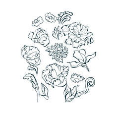 chrysanthemum flower vector design element isolated hand drawn art line
