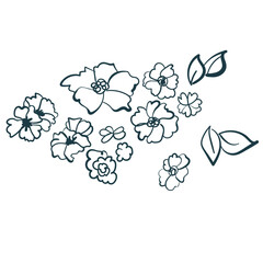 abstract flower vector design element isolated hand drawn art line