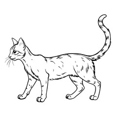 Adorable Simplicity: Basic Cute Cat Silhouettes for Vector Art