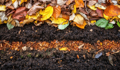 Layers of soil and compost are visible in a garden, with vibrant autumn leaves resting on top, illustrating the seasonal change and the natural gardening process