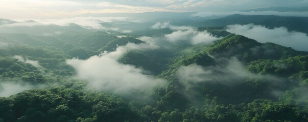Naklejka premium The scenic beauty of the cloud forests at the Monteverde Cloud Forest Reserve