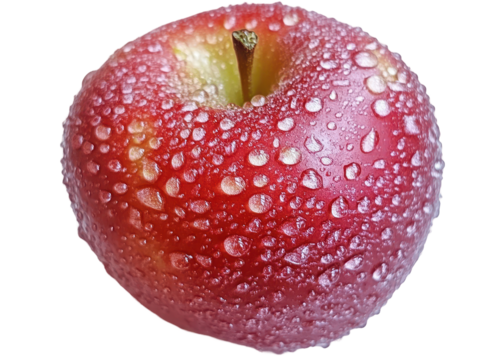 Isolated Red Apple with Water Droplets