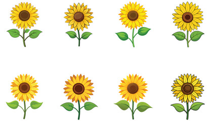 set of sunflowers