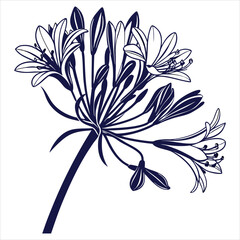 silhouette flower white background