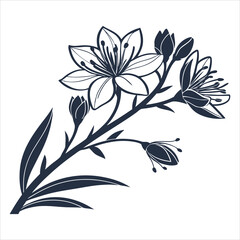 silhouette flower white background